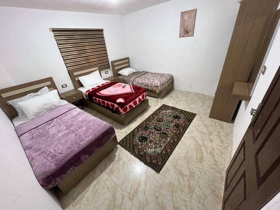 Z3 Apartment Wadi Musa Exterior photo