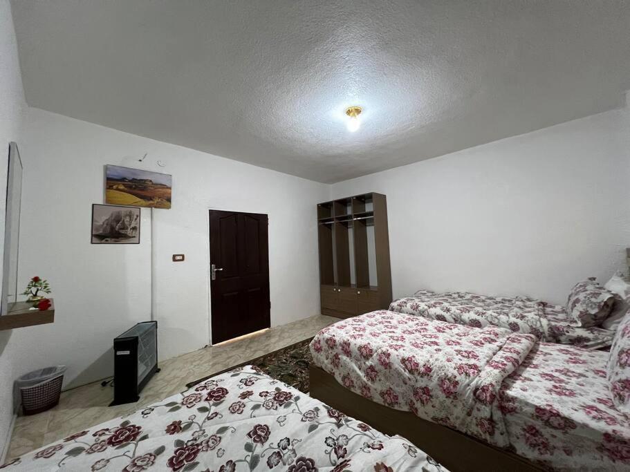 Z3 Apartment Wadi Musa Exterior photo