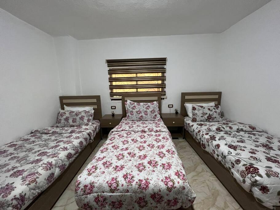 Z3 Apartment Wadi Musa Exterior photo